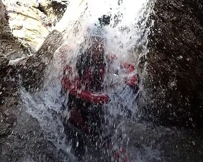 Beschreibung des Bildes